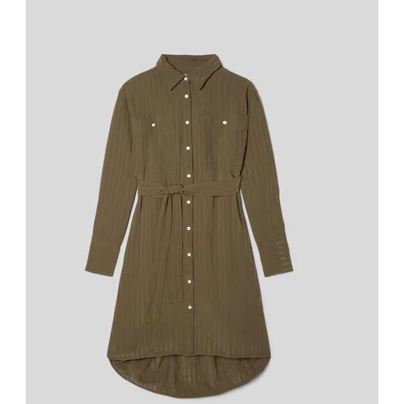 NWT Everlane The City Stripe Draped Shirt Dress-Beach size XS - Picture 1 of 4